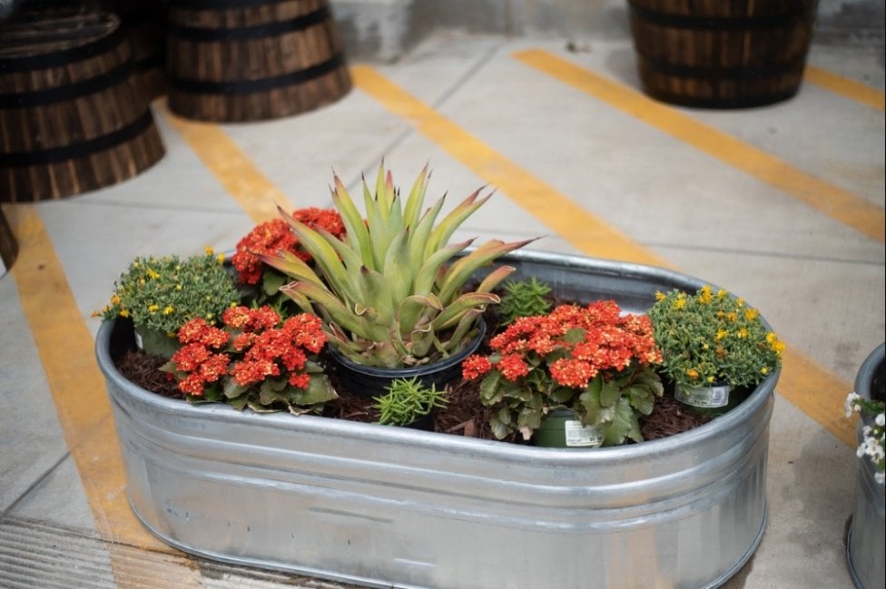 a galvanized steel planter with flowers and wood planter on background