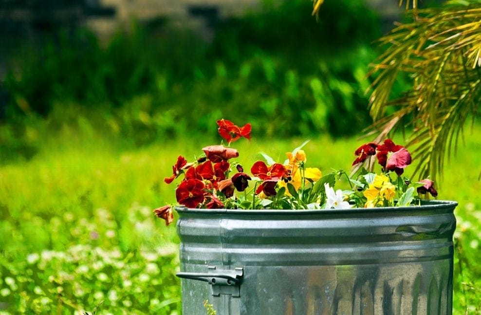 Is Galvanized Steel Safe For Vegetable Garden? An Indepth Look