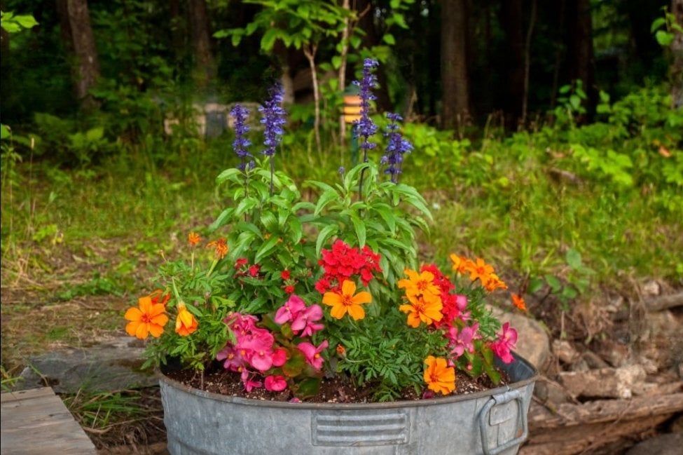 a rustic galvanized steel with flowers and plants
