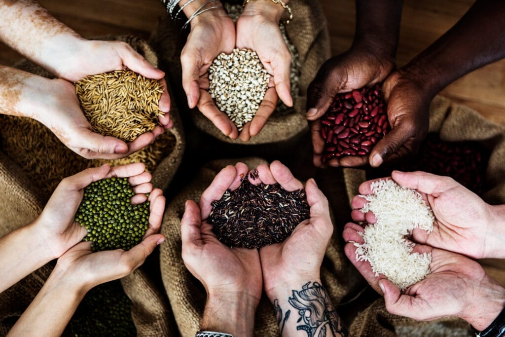 multiple hands holding various seeds