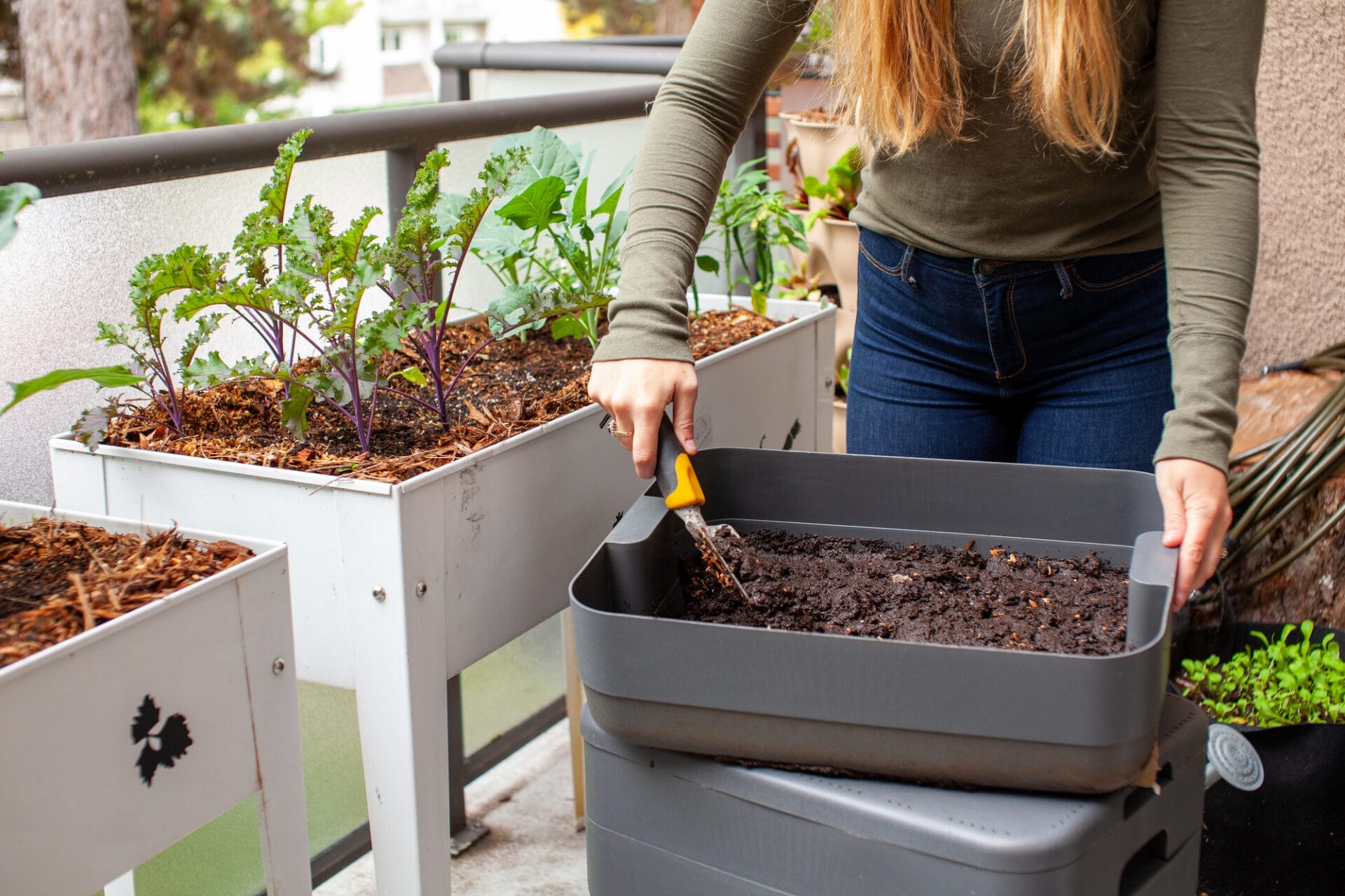 Best Indoor Worm Composter 6 Picks For Odorless Compost