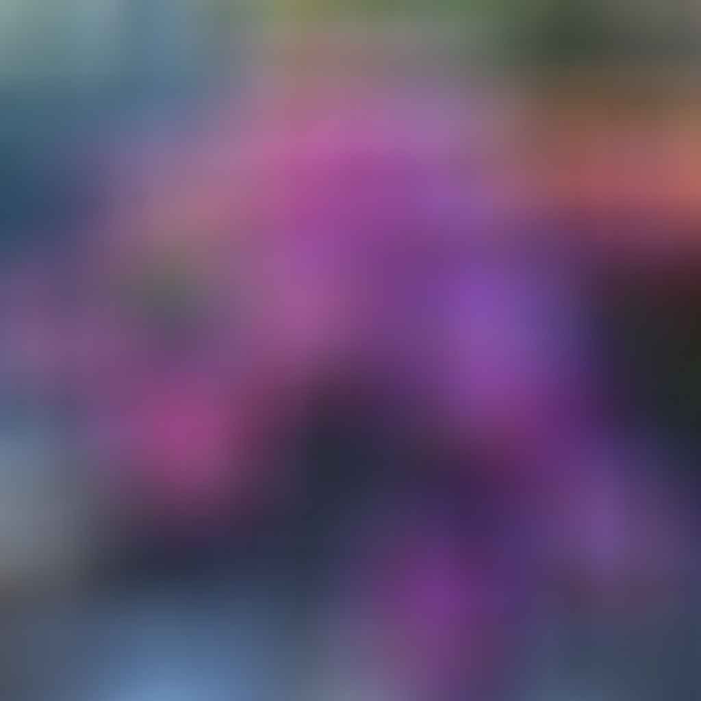 Close-up Delosperma with Sedum 'Purple Heart' in sunlight.
