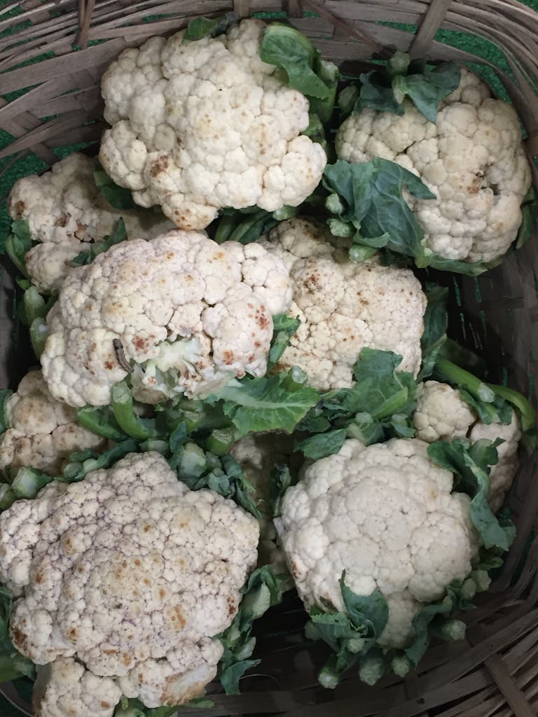 Close-up of cauliflower with texture and color variation in spots. what are brown spots on cauliflower