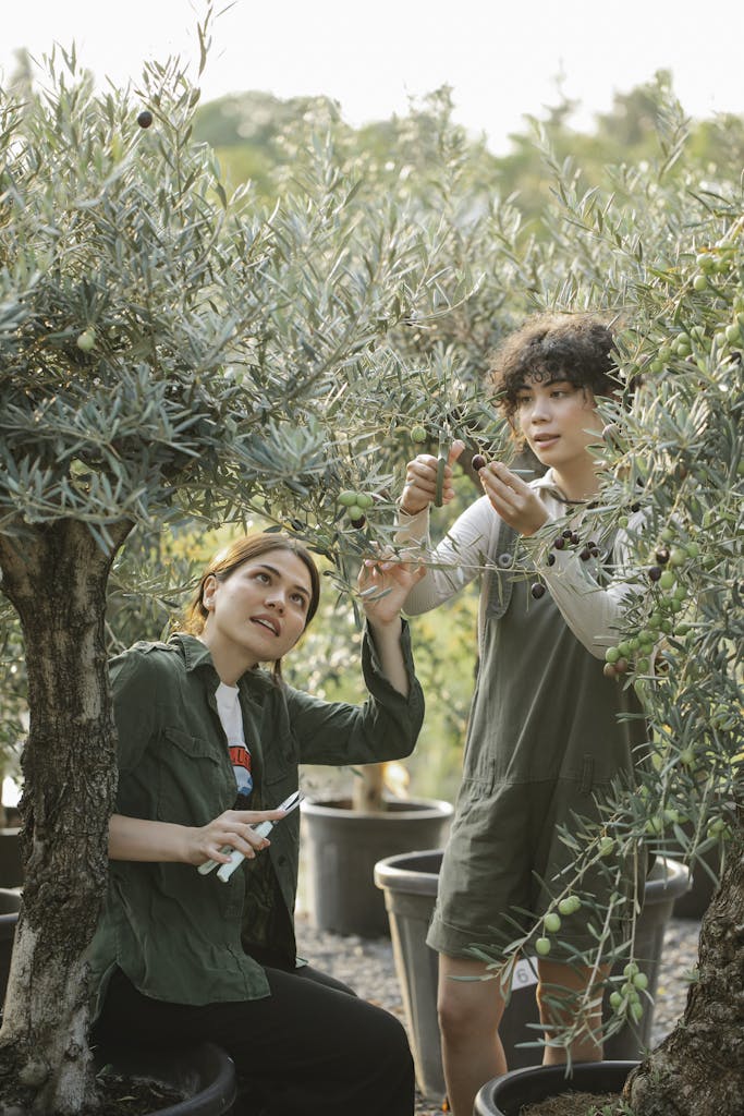 Zone 8a Planting Calendar A Comprehensive Guide For Vegetable Gardening