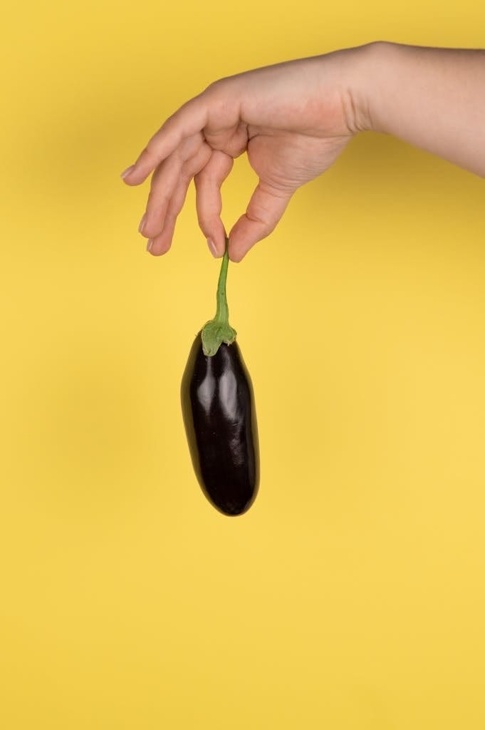 When To Start Eggplant Seeds Indoors: Your Complete Guide to a Successful Growing Journey in 2024