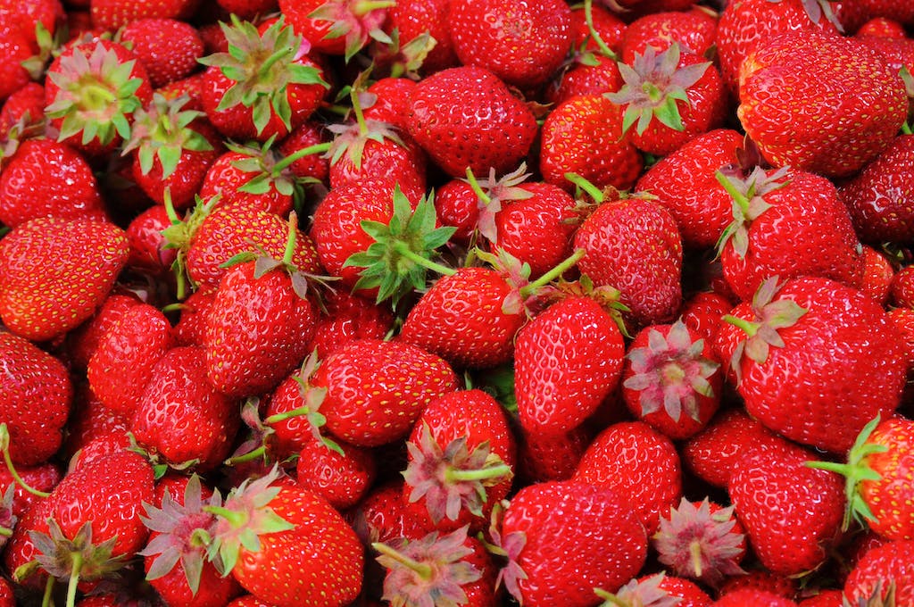 Ripe strawberries in lush Georgia garden.