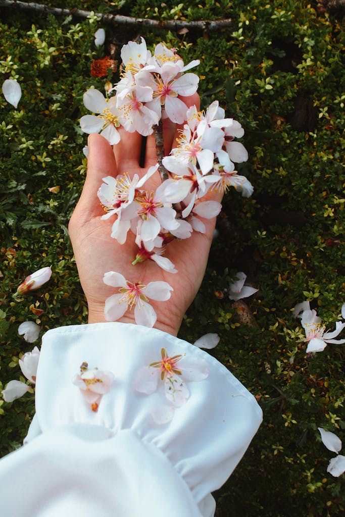 A person's hand holding a bunch of flowers