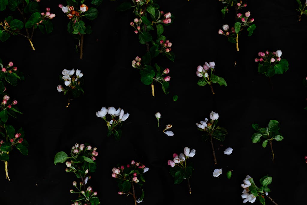 Assorted flowers from blooming trees on black background